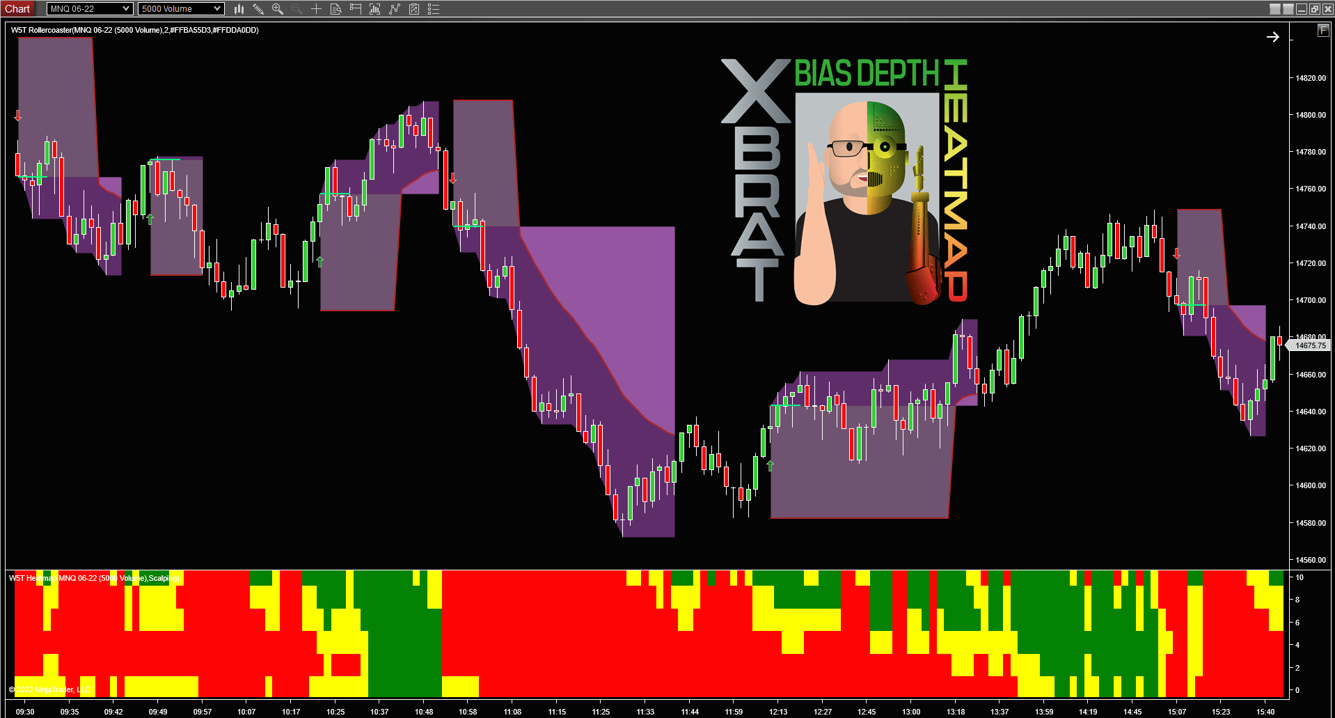 xBrat BIAS DEPTH Heatmap Trading Indicator for NinjaTrader Lifetime License